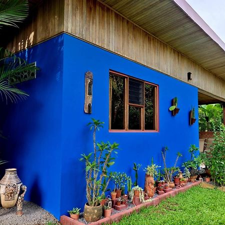 Quinta Don Fernando Panzió La Garita  Kültér fotó